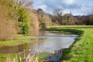 Photo 29- click for photo gallery